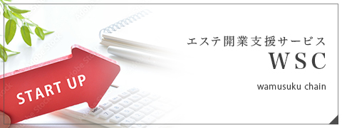 バイポーラ式高周波痩身機器 ハイパーナイフEX
