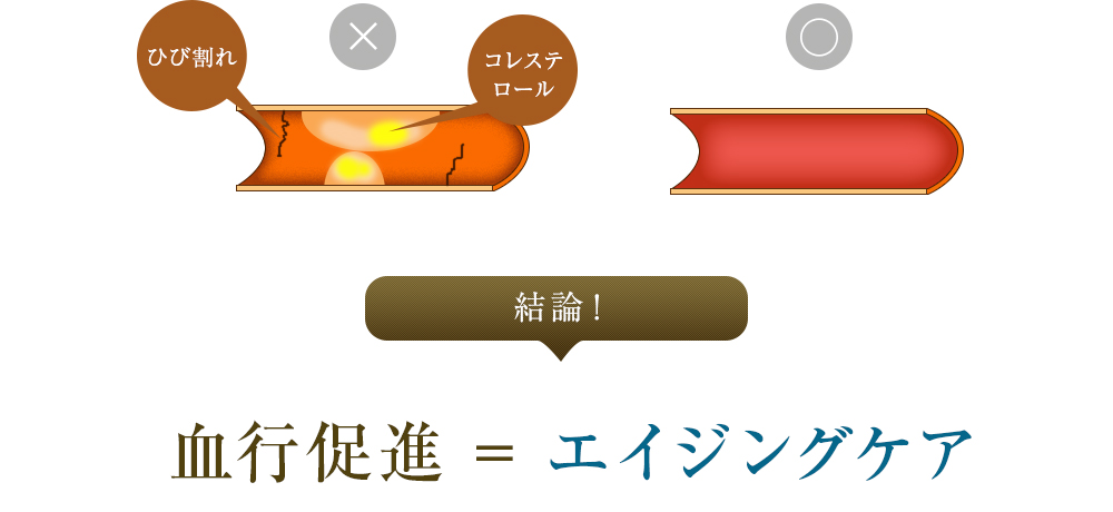 結論:血行促進 = エイジングケア
