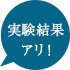実験結果アリ!