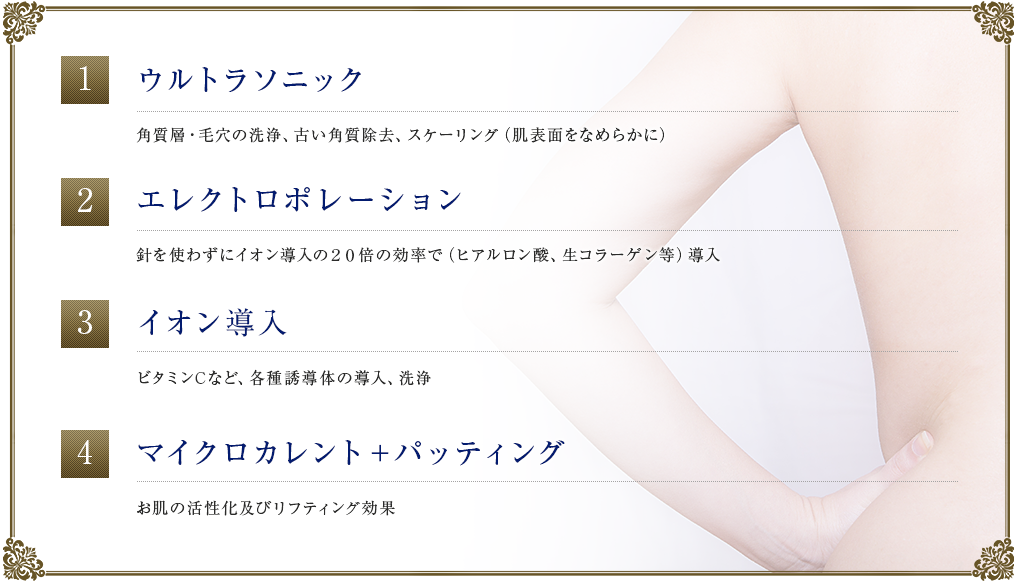 ウルトラソニック エクレトロポレーション イオン導入 マイクロカレント+パッティング