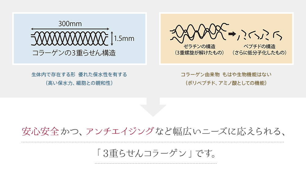 安心安全かつ、アンチエイジングなど幅広いニーズに応えられる、「3重らせんコラーゲン」です。