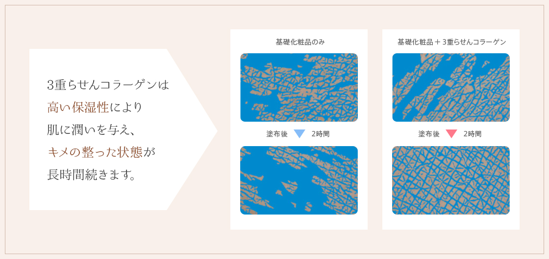 3重らせんコラーゲンは高い保湿性により肌に潤いを与え、キメの整った状態が長時間続きます。