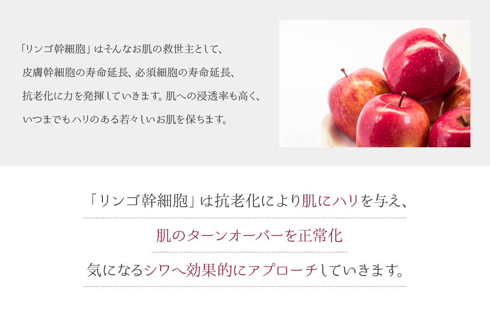 「リンゴ幹細胞」は抗老化により肌にハリを与え、肌のターンオーバーを正常化 気になるシワへ効果的にアプローチしていきます。
